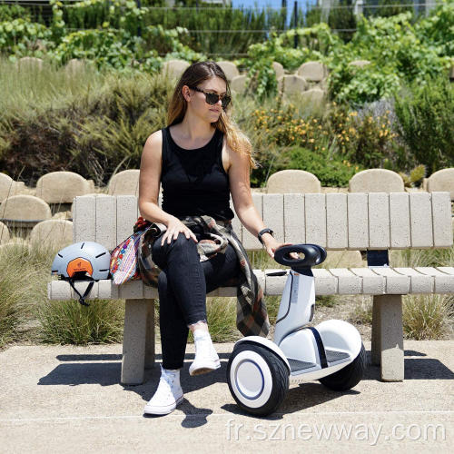 SCooter électrique auto-équilibré SEGWAY Ninebot S PLUS